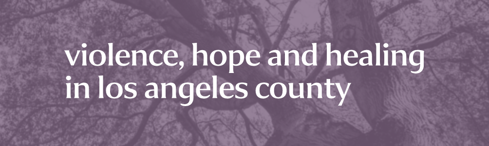 Violence,Hope and Healing in Los Angeles County